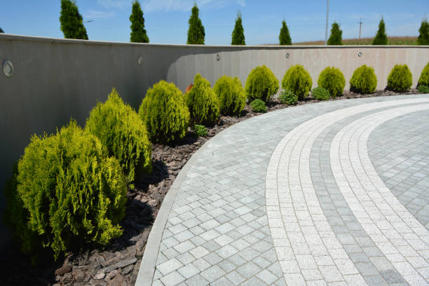 Best Residential Paver Driveway  in Broad Creek, NC